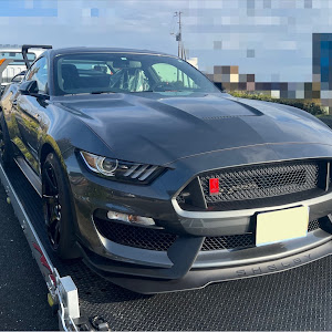 シェルビー GT350R