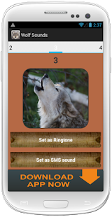 Wolf Growl Sound Collection Screenshots 3