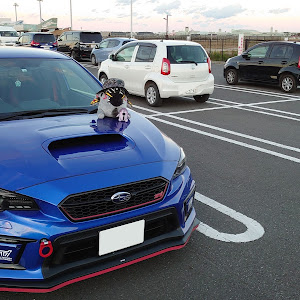 WRX STI VAB