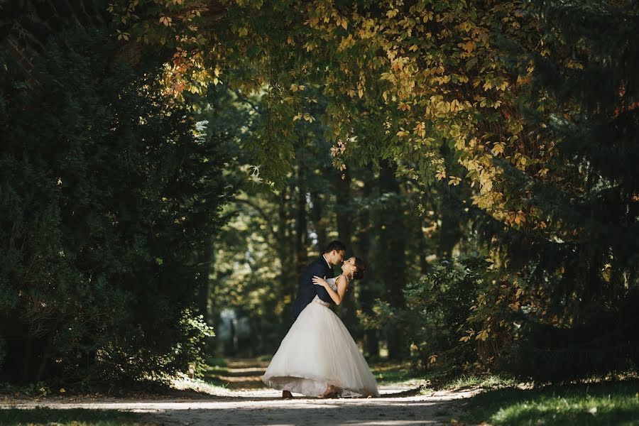 Fotografo di matrimoni Dariusz Rogozinski (bestmomentsever). Foto del 25 febbraio 2020