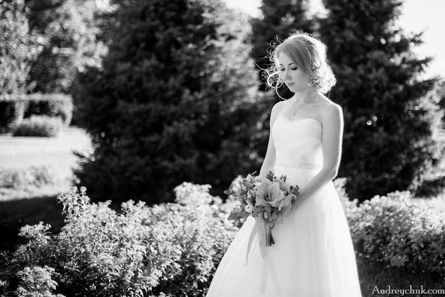 Fotógrafo de bodas Tatyana Andreychuk (andrei4uk). Foto del 3 de agosto 2015