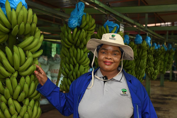 Siphiwe Mkhatshwa has made a success of the land she received from the Land Redistribution for Agricultural Development Programme.