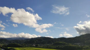 僕の関係者募集中(｡ ・`ω・´) ｷﾗﾝ☆