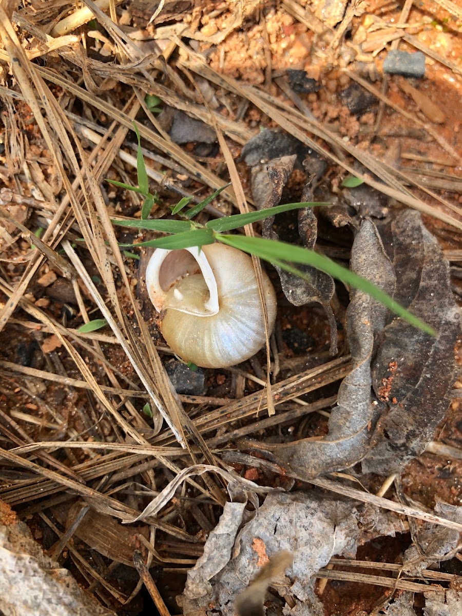 signs of wildlife