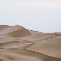 Deserto 🌵 sabbioso  di 