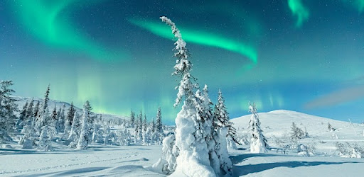 Snow Wallpapers