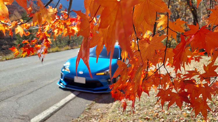 86の来週末も🍁…？・ハチビー愛好会・大○町スゲー・昼間は怖くない橋・紅葉ドライブに関するカスタム事例の投稿画像2枚目