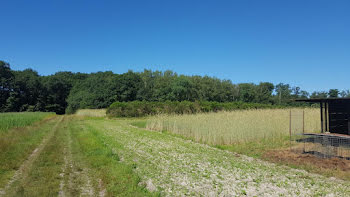 propriété à Brinon-sur-Sauldre (18)