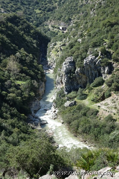 Estación de Cortes - Cañón de las Buitreras - Estación de Gaucín