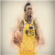 Donovan Mitchell Themes & New Tab