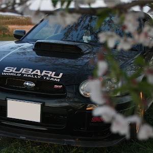 インプレッサ WRX GDB