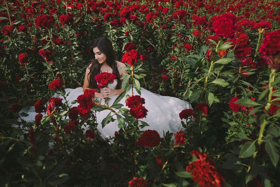 Fotógrafo de casamento Alejandro Souza (alejandrosouza). Foto de 29 de maio 2020