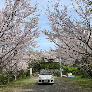 コペン L880K