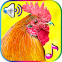 Funny Alarm Clock Ringtones icon