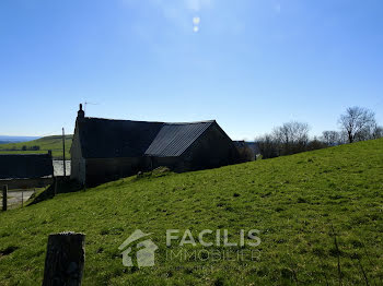 ferme à Laguiole (12)