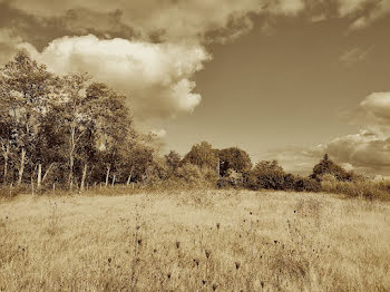 terrain à Saint-Genès-de-Fronsac (33)