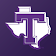 Tarleton Sports icon