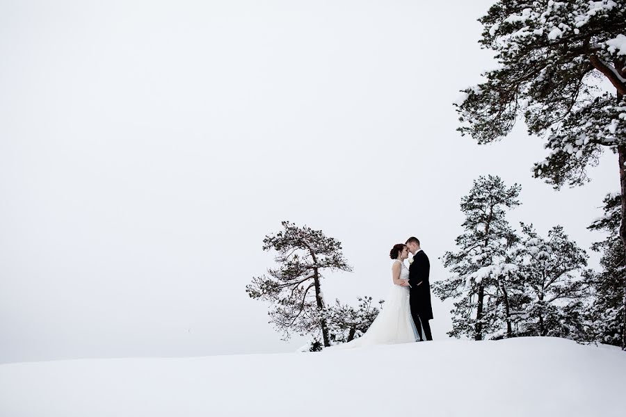 Fotografo di matrimoni Sonja Siikanen (sonjasphoto). Foto del 3 ottobre 2019