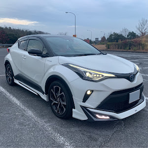 C-HR ZYX11