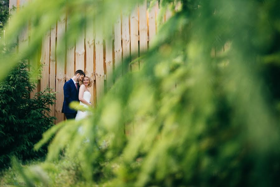 Wedding photographer Angel Mackevich (angelyou). Photo of 20 June 2014