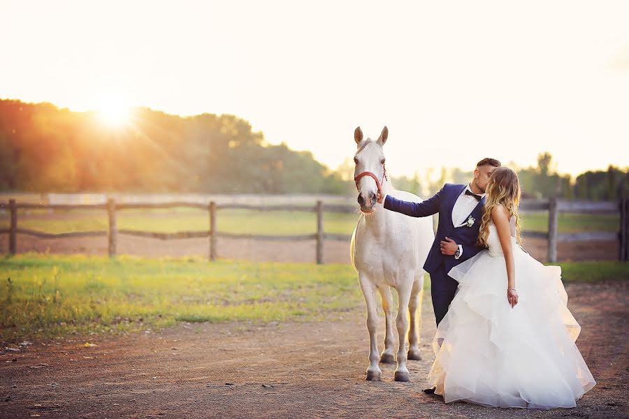 Photographe de mariage Sarolta Szokol (saroltaszokol). Photo du 26 mars 2019