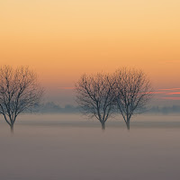 Scende il sole,sale la nebbia. di 