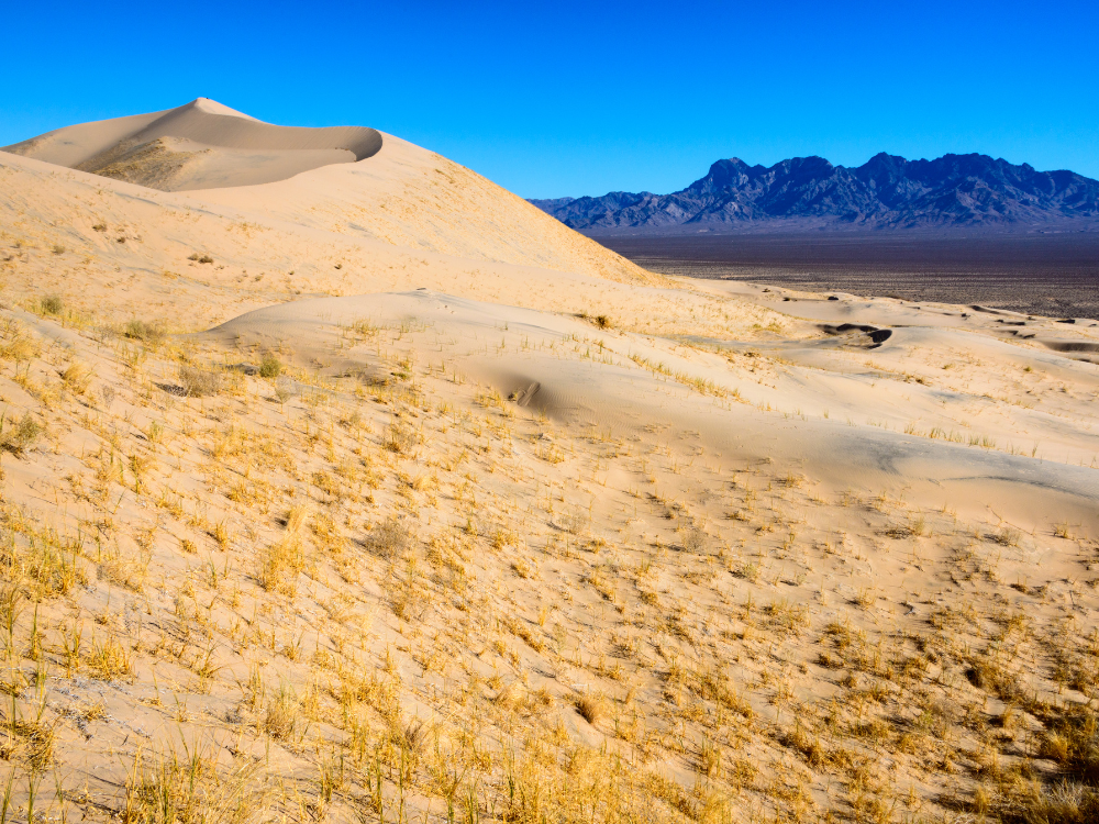 RV Camping In Mojave National Preserve, CA