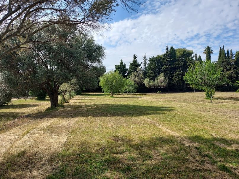 Vente terrain  600 m² à Sanary-sur-Mer (83110), 550 000 €