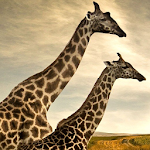 giraffe wallpapers Apk