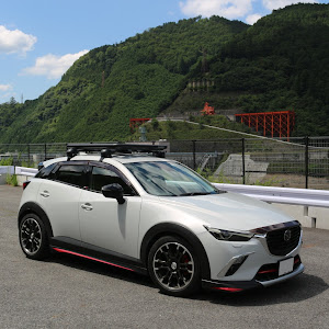 CX-3 DK5FW