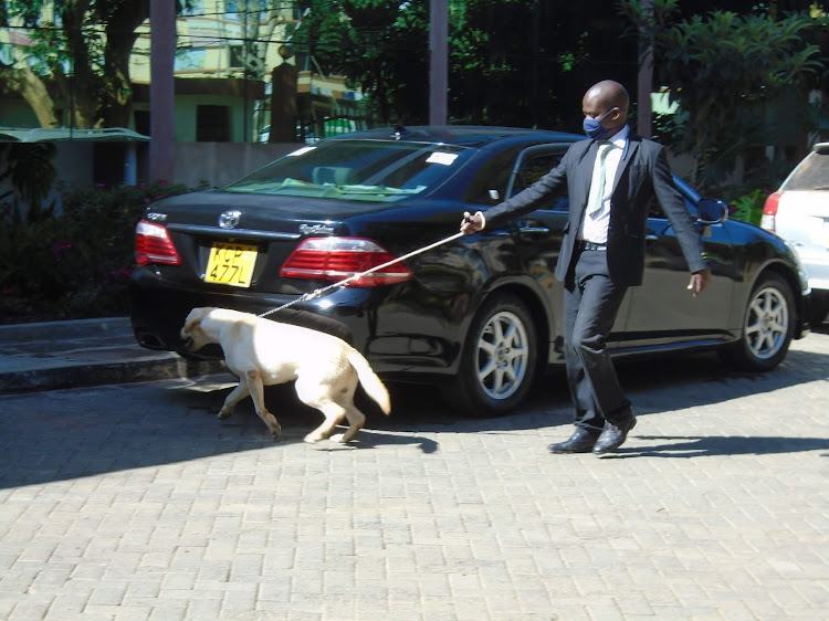 A policeman with a sniffer dog at the Laikipia County Assembly precincts in Nanyuki town following a break-in on Thursday night.