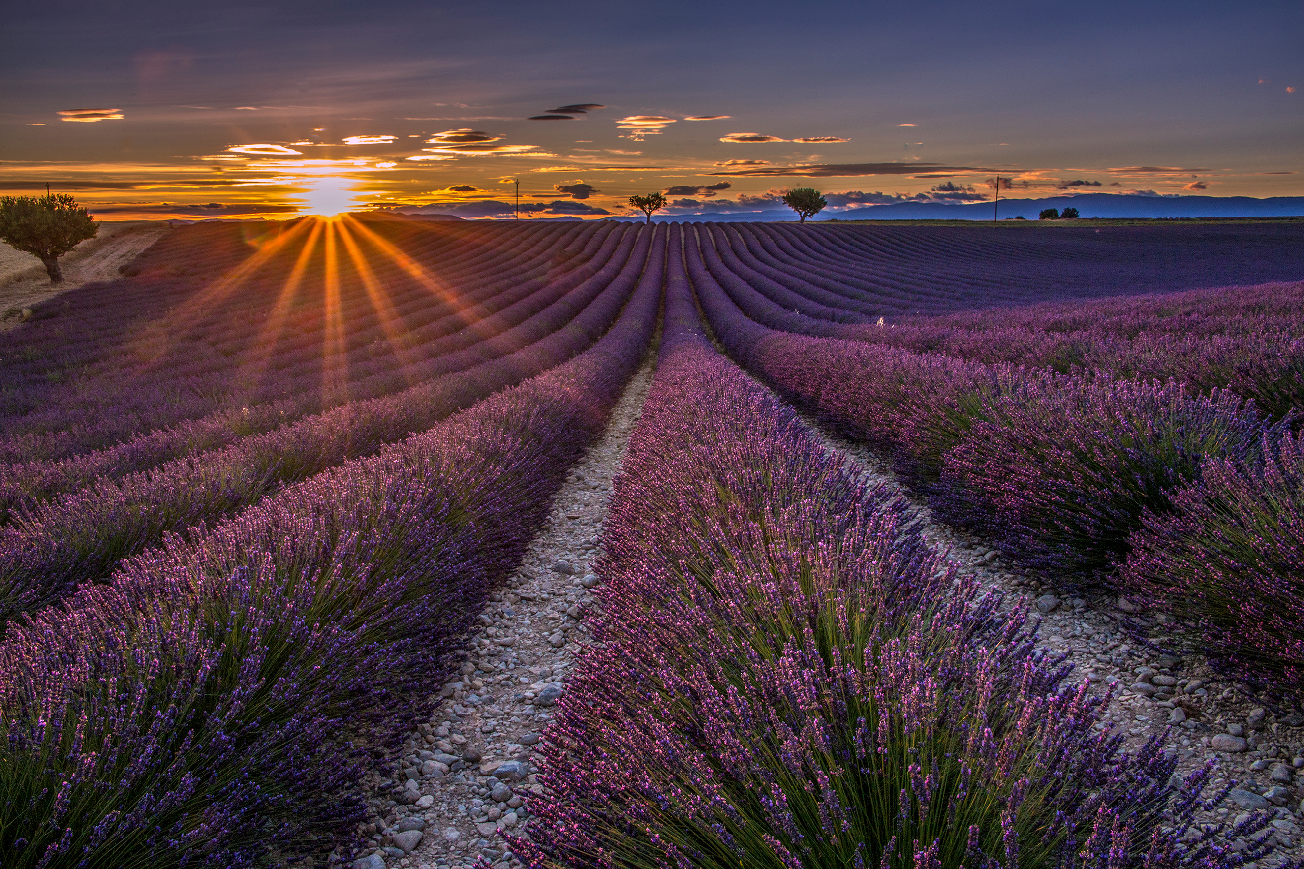 Tramonto profumato di mario chiaiese foto