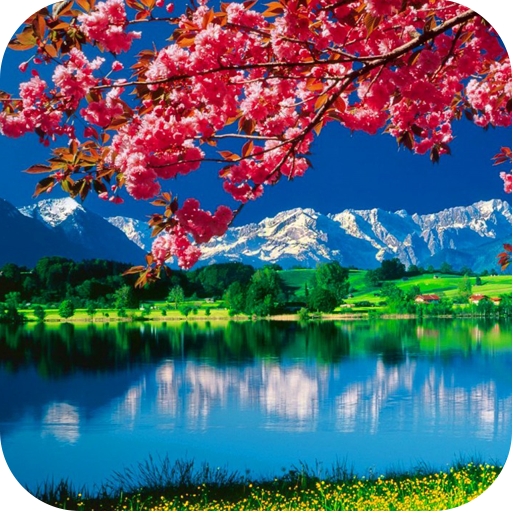 i dag glas spredning Nature Wallpaper/1000 Nature Wallpaper APK 1.0 - Download APK latest version