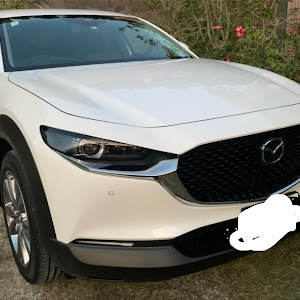 CX-30 DM8P