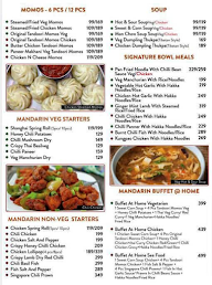 Mandarin Junction menu 1