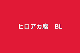 ヒロアカ腐　BL