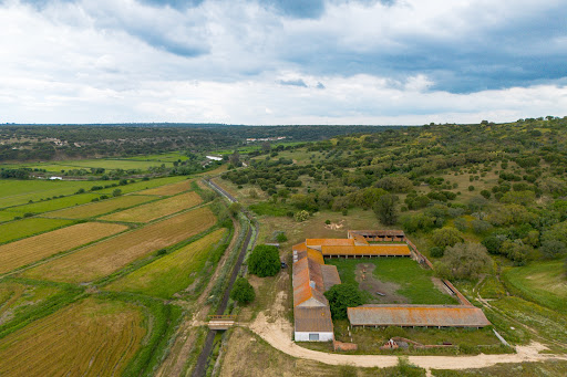 Corps de ferme avec jardin 2