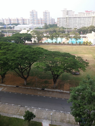 Bedok 131 Field