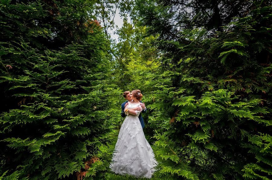 Wedding photographer Sergey Frolov (frey). Photo of 28 June 2018