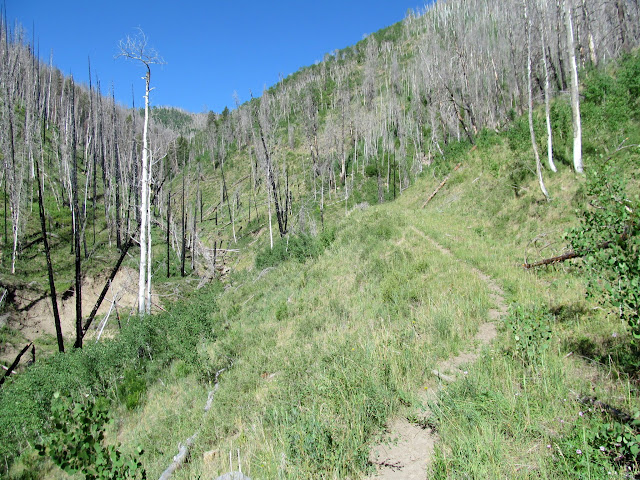 Trail over the old road