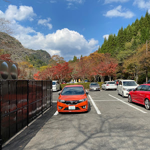フィット RS