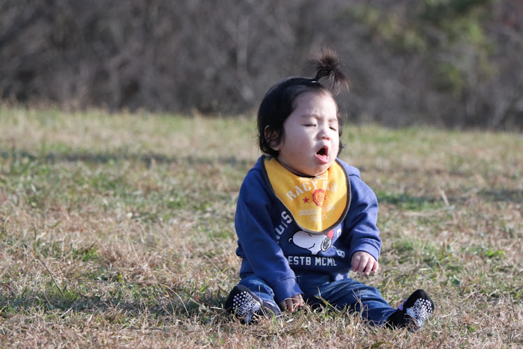 の投稿画像4枚目