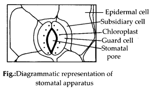 Solution Image