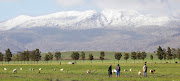 Snow on Matroosberg in Ceres, Western Cape on July 12 2020.