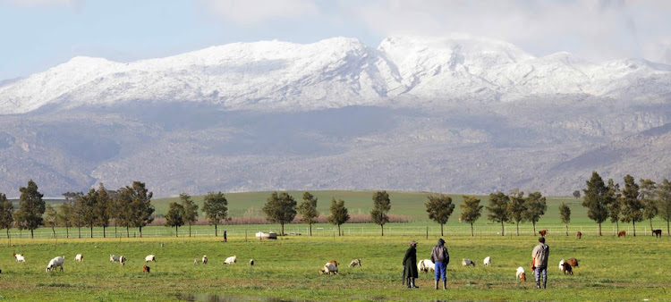 Snow on Matroosberg in Ceres, Western Cape on July 12 2020.