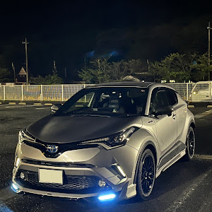 C-HR ZYX10