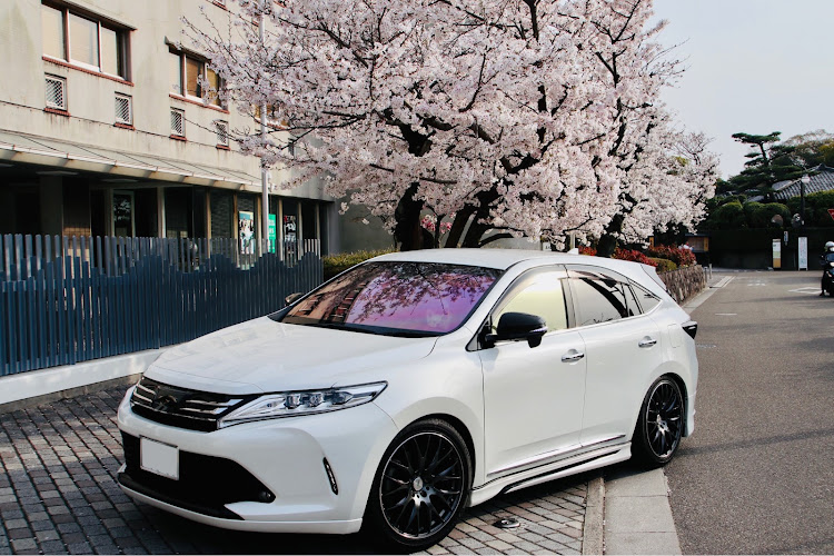 ハリアーの桜とコラボ・サクラと愛車・ハリアー60系後期に関するカスタム事例の投稿画像2枚目