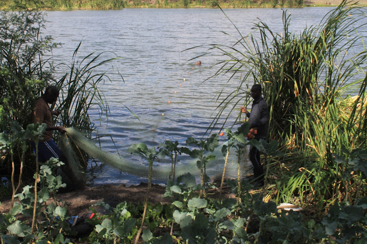 Men conducting fishing at Kicheko Dam in Mlolongo, Machakos County on November 19.