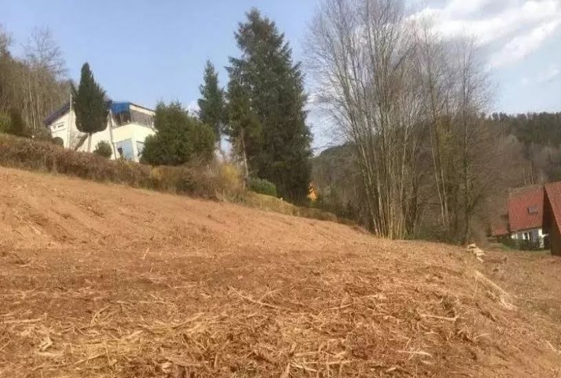  Vente Terrain à bâtir - 3 395m² à Colroy-la-Roche (67420) 