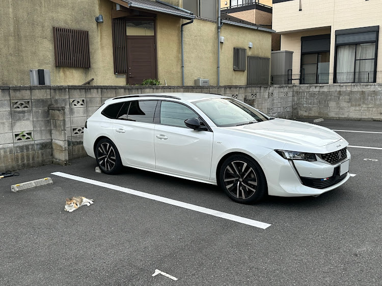 508のPEUGEOT・プジョー・猫に関するカスタム事例の投稿画像1枚目